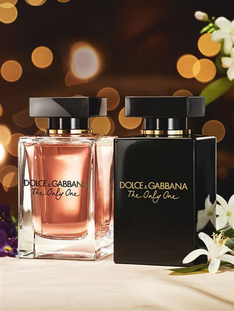 dolce & gabbana the only one fragrantica|dolce and clemente's online store.